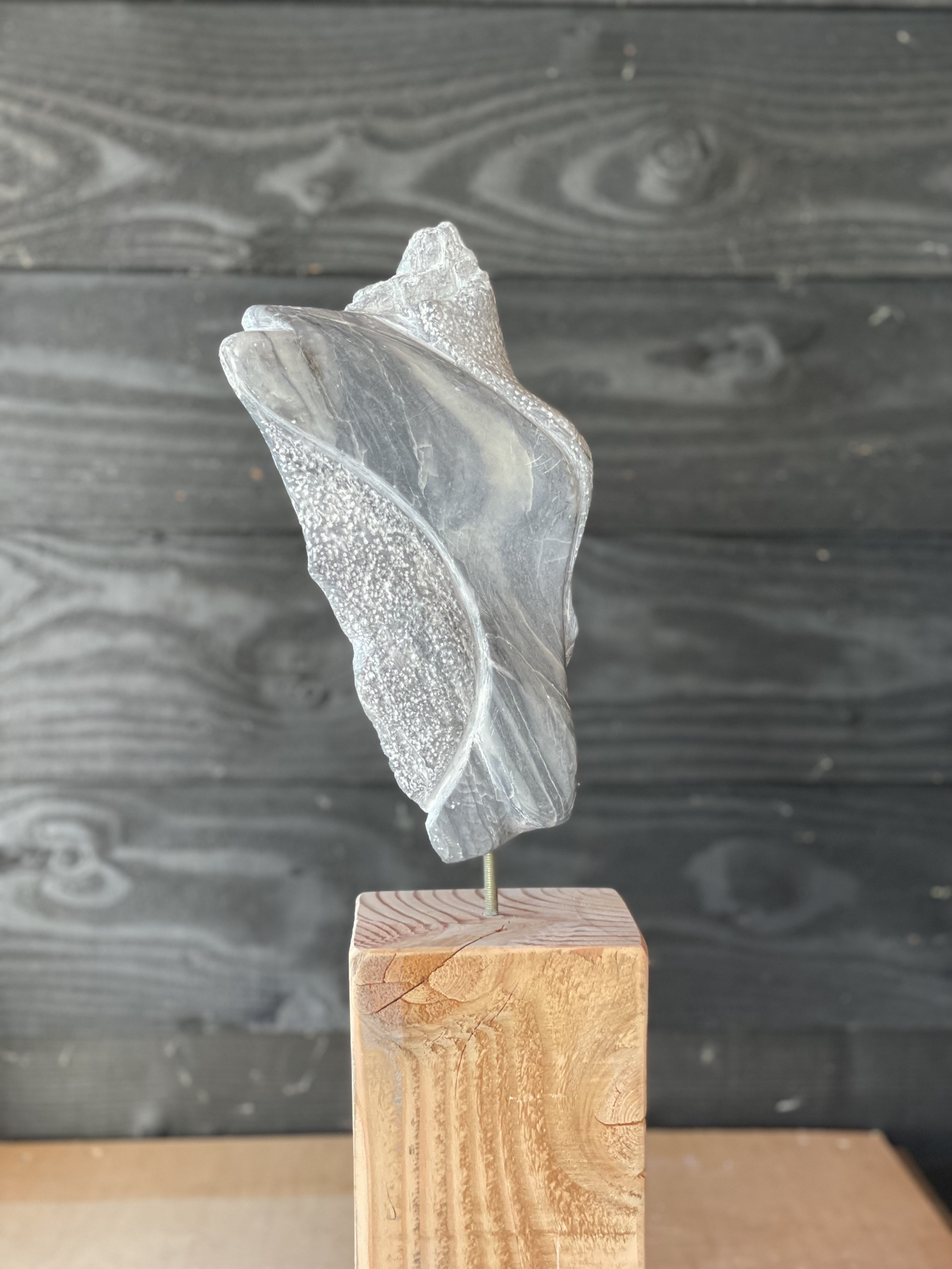 <b>Springende zalm</b><br>Justus Broeder<br>Speksteen